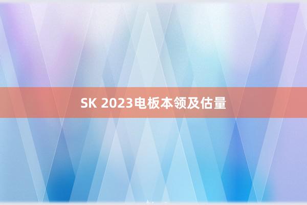 SK 2023电板本领及估量